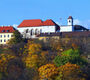 X. České a slovenské parazitologické dny, Brno, 28.5 - 1.6. 2012